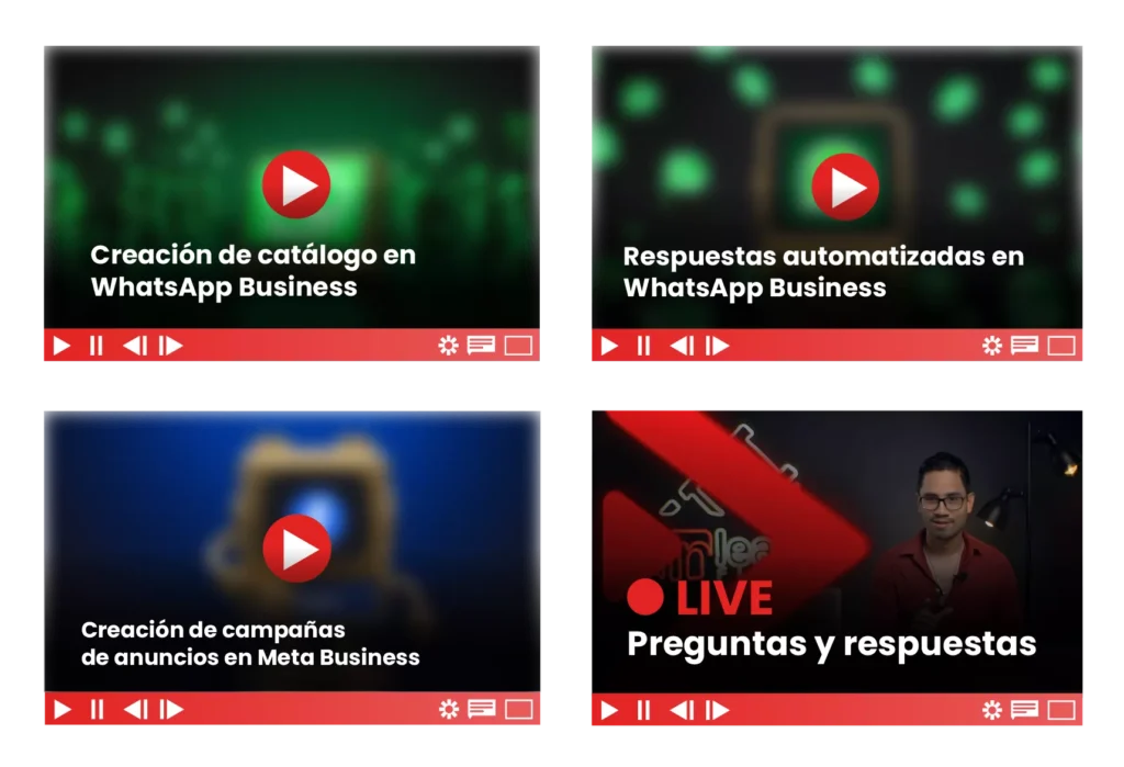 Clases del módulo 4: catálogo en WhatsApp Business, respuestas automatizadas, campañas de anuncios en Meta Business, live de preguntas y respuestas